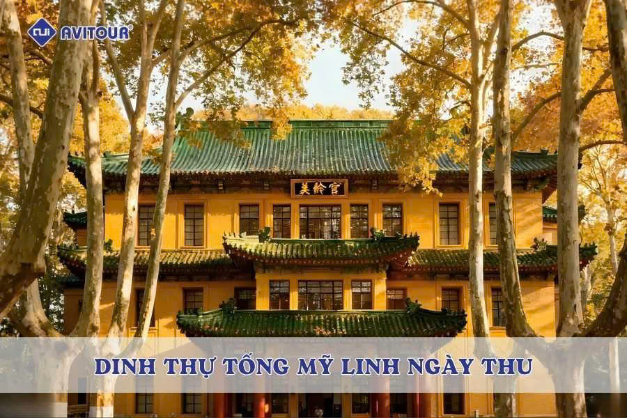 Dinh thự Tống Mỹ Linh ngày thu: Vẻ đẹp lãng mạn giữa lòng Nam Kinh
