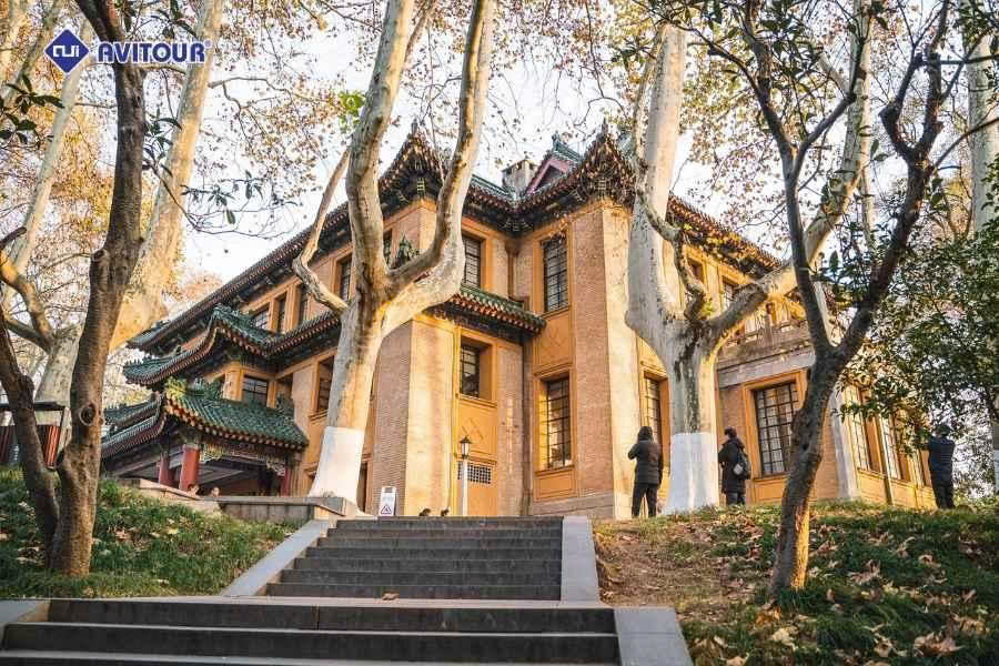 Dinh thự Tống Mỹ Linh ngày thu: Vẻ đẹp lãng mạn giữa lòng Nam Kinh