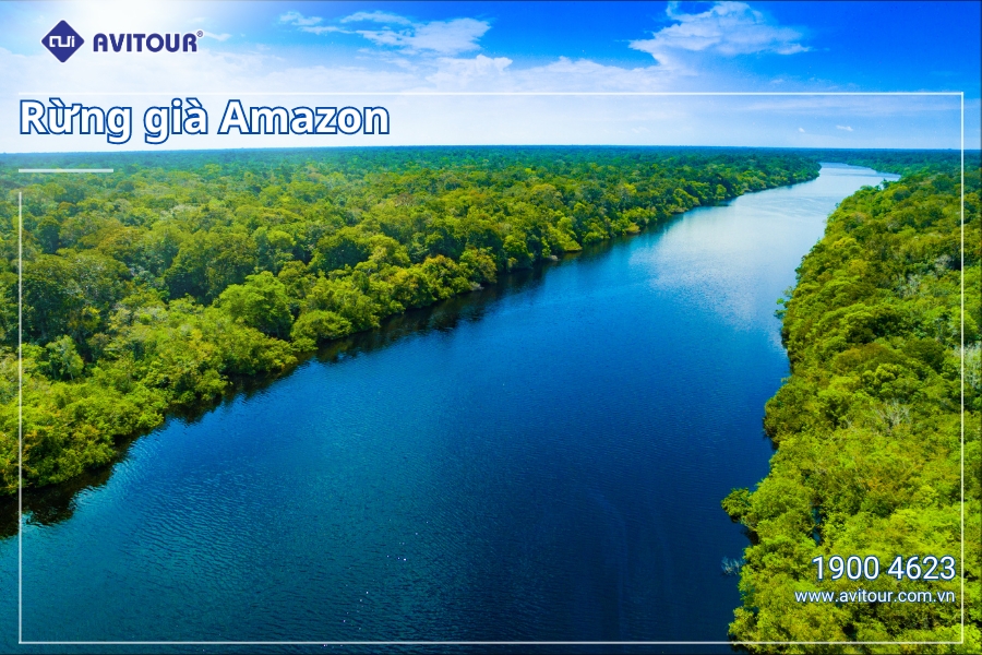 Du Lịch Brazil - Argentina 2024 - Rừng gia Amazon