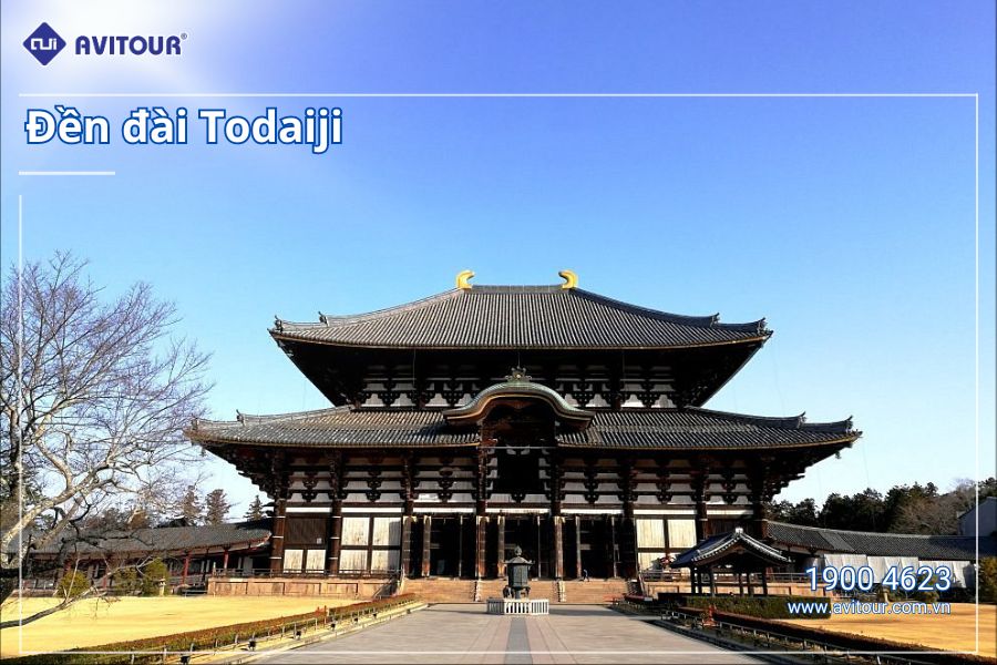 Du lịch Cung Đường Mùa Xuân 2024: Nagoya – Osaka – Kyoto – Fuji Moutain - Tokyo