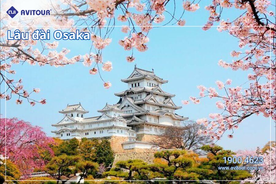 Du lịch Cung Đường Mùa Xuân 2024: Nagoya – Osaka – Kyoto – Fuji Moutain - Tokyo