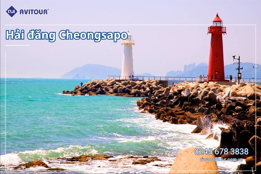 Du lịch Hàn Quốc 2026: Tour Hà Nội - Busan - Gyeongju - Seoul - Đảo Nami - Tàu Điện Ven Biển Haeundae - Cầu Kính Oryukdo - Làng Văn Hóa Huinnyeoul