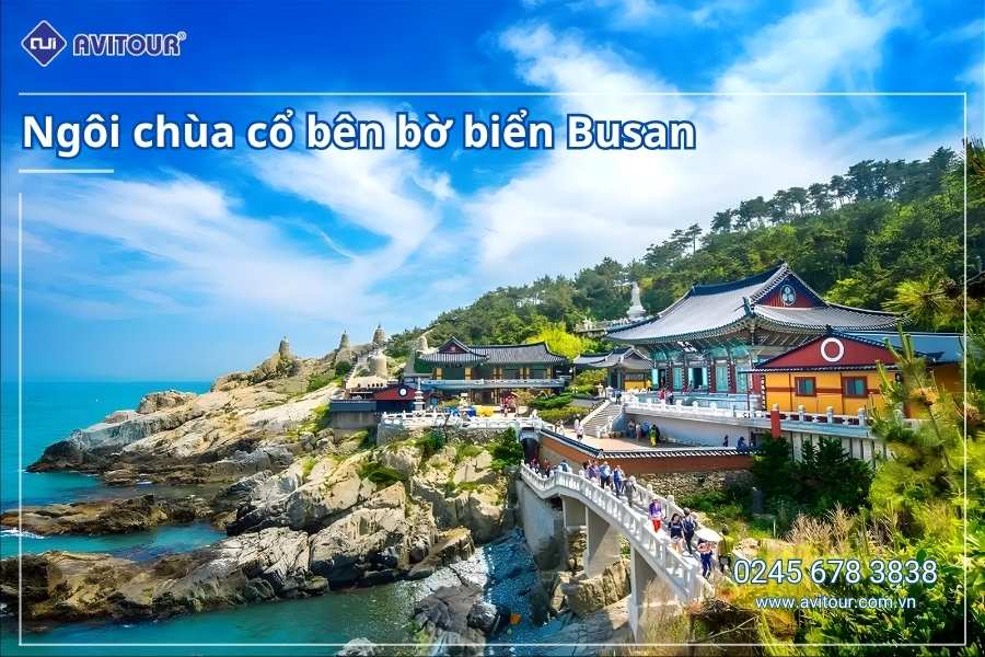 Du lịch Hàn Quốc: Tour Busan - Gyeongju - Seoul - Đảo Nami - Tàu Điện Ven Biển Haeundae - Cầu Kính Oryukdo - Làng Văn Hóa Huinnyeoul từ Hà Nội 2026