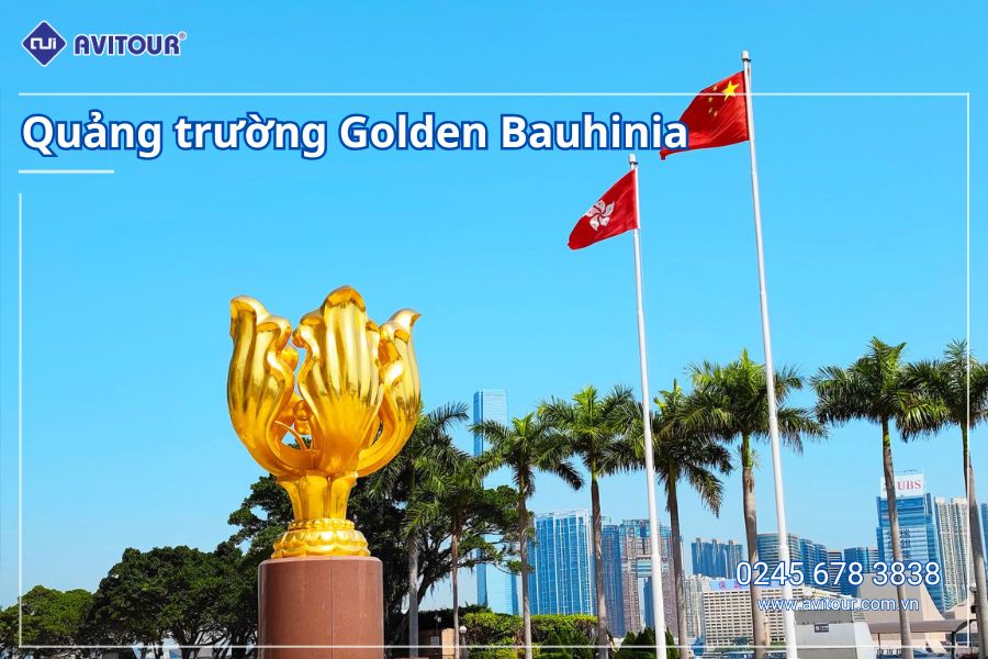 Du Lịch Hong Kong 2026: Khám phá Hongkong - Thâm Quyến - Quảng Châu từ Hà Nội