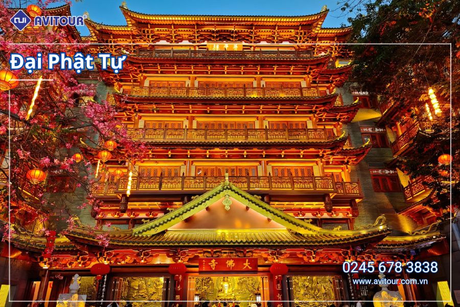 Du Lịch Hong Kong 2026: Khám phá Hongkong - Thâm Quyến - Quảng Châu từ Hà Nội