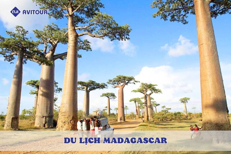 Du lịch Madagascar - Khám phá “lục địa thứ tám” kỳ bí