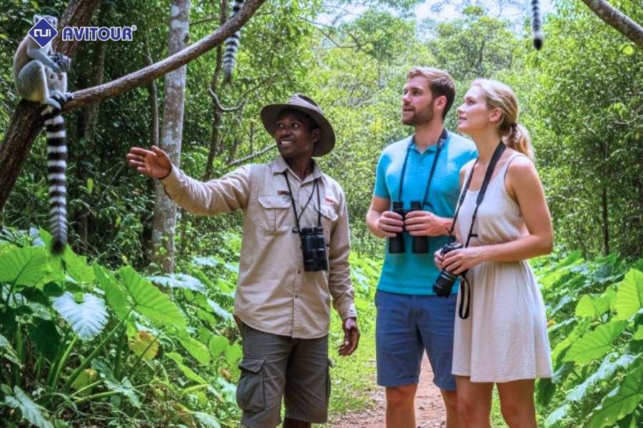 Du lịch Madagascar - Khám phá “lục địa thứ tám” kỳ bí