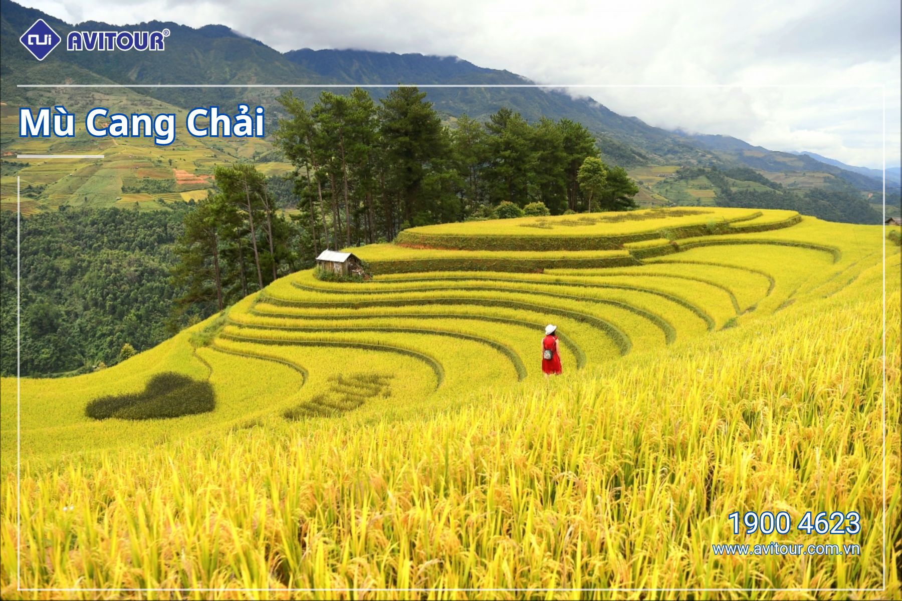 DU LỊCH MÙ CANG CHẢI MÙA LÚA CHÍN | NGHĨA LỘ - TÚ LỆ - MÙ CANG CHẢI