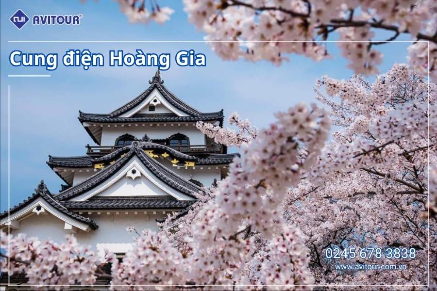 Du lịch Nhật Bản (Khai Xuân Bính Ngọ): Tour Tokyo - Phú Sĩ - Kyoto - Osaka từ Hà Nội 2026