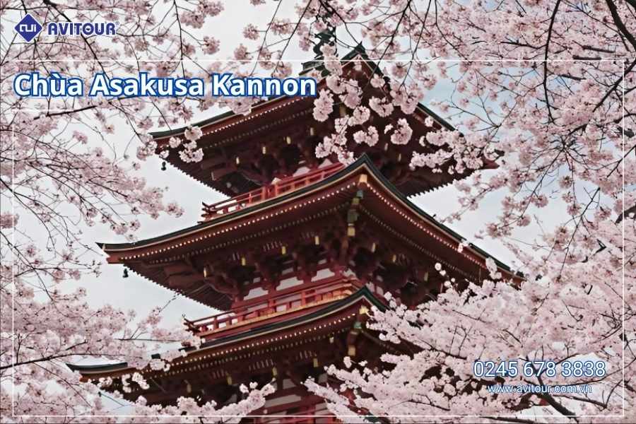 Du lịch Nhật Bản (Khai Xuân Bính Ngọ): Tour Tokyo - Phú Sĩ - Kyoto - Osaka từ Hà Nội 2026