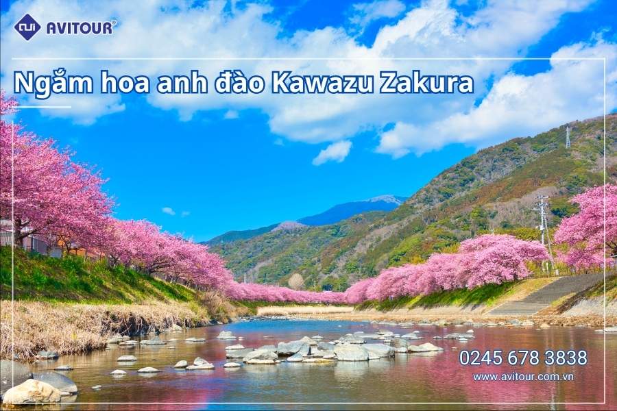Du lịch Nhật Bản (Khai Xuân Bính Ngọ): Tour Tokyo - Phú Sĩ - Kyoto - Osaka từ Hà Nội 2026