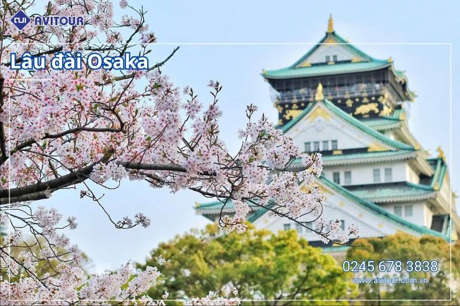 Du lịch Nhật Bản (Khai Xuân Bính Ngọ): Tour Tokyo - Phú Sĩ - Kyoto - Osaka từ Hà Nội 2026