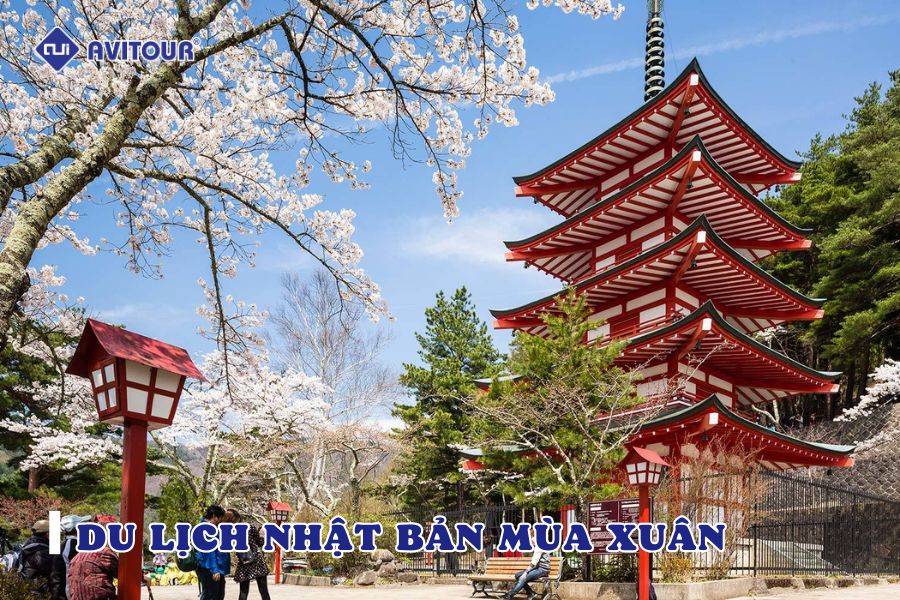 Du lịch Nhật Bản mùa nào đẹp nhất? Tháng mấy trong năm