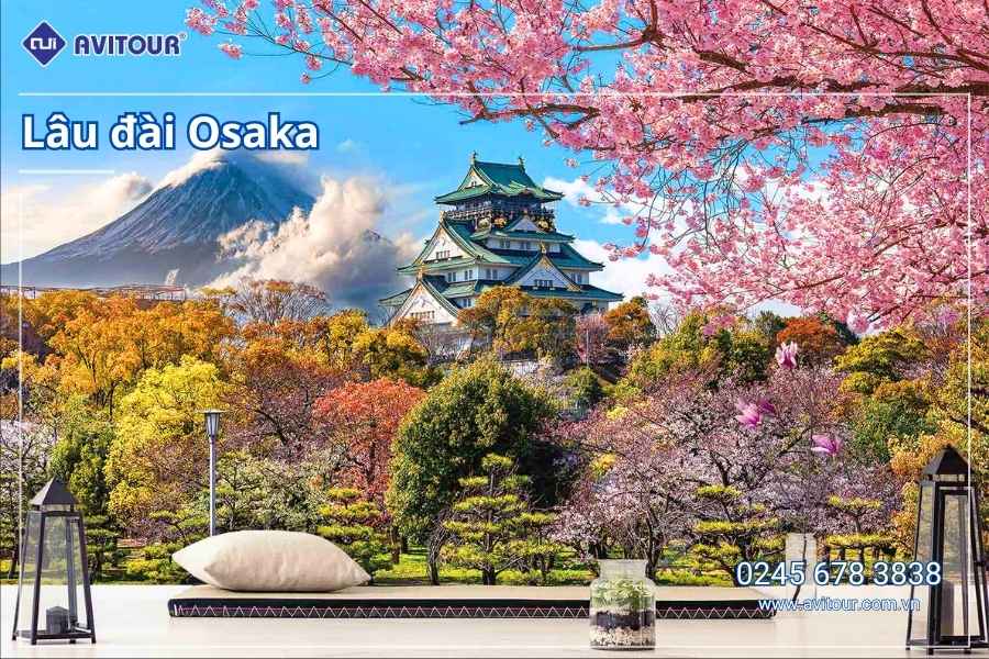 Du lịch Nhật Bản (Tết Âm Lịch 2026): Tour Tokyo - Phú Sĩ - Kyoto - Osaka từ Hà Nội 2026