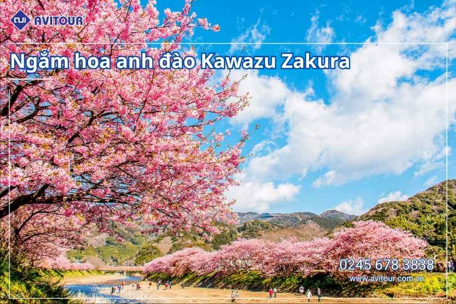 Du lịch Nhật Bản (Tết Nguyên Đán): Tour Tokyo - Phú Sĩ - Kyoto - Osaka từ Hà Nội 2026