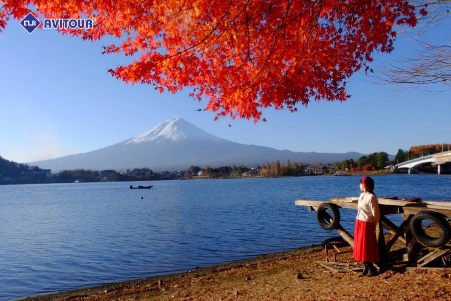Du lịch núi Phú Sĩ: Biểu tượng thiêng liêng và hùng vĩ của Nhật Bản
