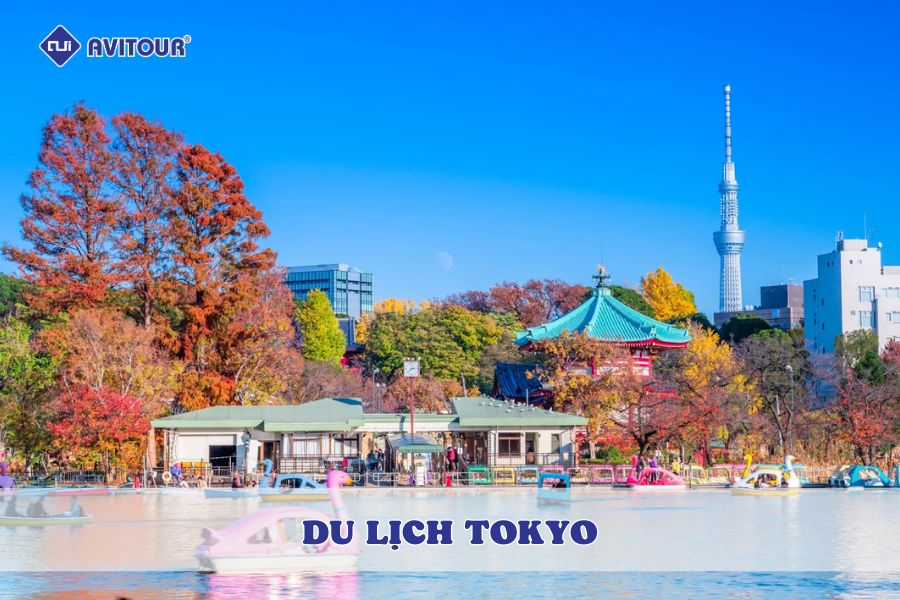 Du lịch Tokyo bốn mùa: Trải nghiệm trọn vẹn vẻ đẹp thủ đô Nhật Bản