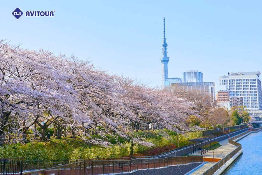 Du lịch Tokyo bốn mùa: Trải nghiệm trọn vẹn vẻ đẹp thủ đô Nhật Bản