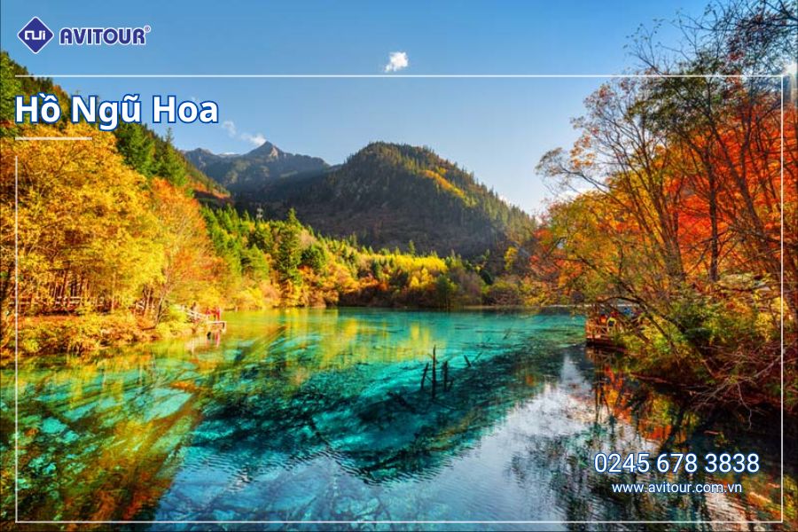 DU LỊCH TRÙNG KHÁNH - TỪ KHÍ KHẨU CỔ TRẤN - HỒNG NHAI ĐỘNG - CÔNG VIÊN GẤU TRÚC - TỊNH THỔ A BÁ - PHỐ CỔ CẨM LÝ - NGÕ RỘNG - NGÕ HẸP - THÀNH ĐÔ - CỬU TRẠI CÂU