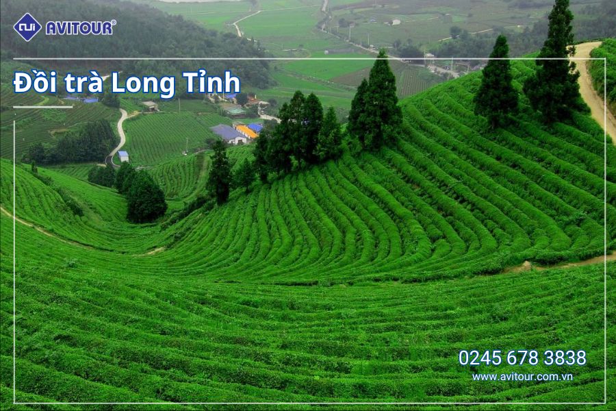 Du lịch Trung Quốc: Tour Đồn Khê - Hoàng Sơn - Hoàng Thôn Bộc Viện cổ trấn - Thượng Hải - Hàng Châu từ Hà Nội 2025