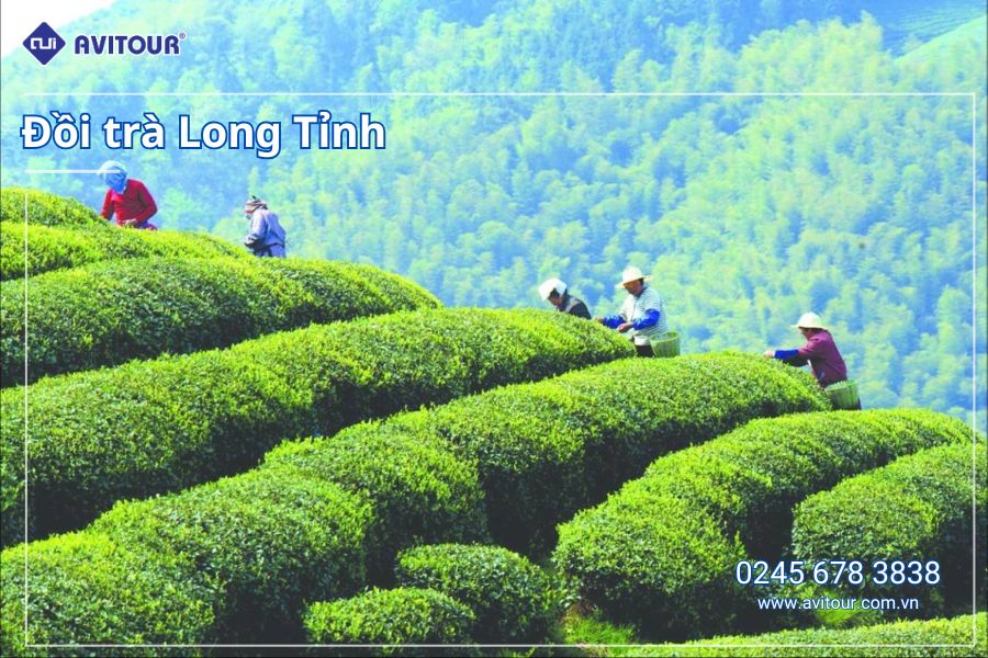 Du lịch Trung Quốc: Tour Đồn Khê - Hoàng Sơn - Tề Vân tiểu trấn ô trấn Tây Sách - Thượng Hải - Hàng Châu từ Hà Nội 2025