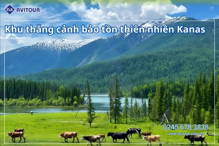 Du lịch Trung Quốc: Tour Khám Phá Tân Cương Từ Hà Nội 2026