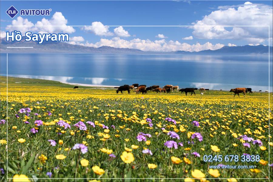 Du lịch Trung Quốc: Tour Tân Cương từ Hà Nội 2025