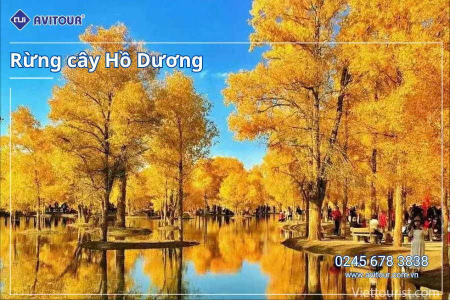 Du lịch Trung Quốc: Tour Tây An - Binh Mã Dũng - Tháp Đại Nhạn - Đôn Hoàng - Minh Cát Sơn - Nguyệt Nha Tuyền - Hang Mạc Cao - Trương Dịch - Gia Dục Quan - Núi Cầu Vồng - Rừng lá vàng Hồ Dương từ Hà Nội 2025