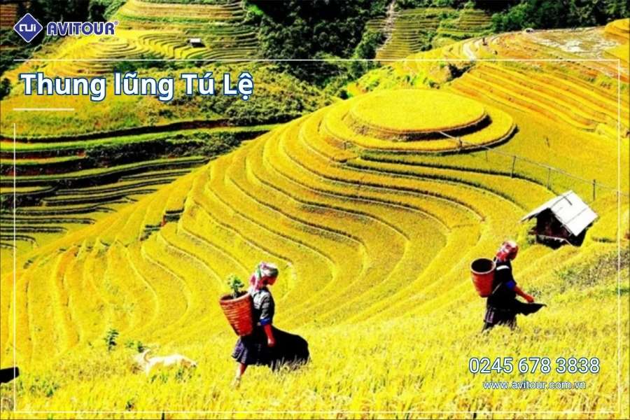 Du lịch Việt Nam 2/9: Tour Mù Cang Chải - Ngọc Chiến khởi hành từ Hà Nội 2025
