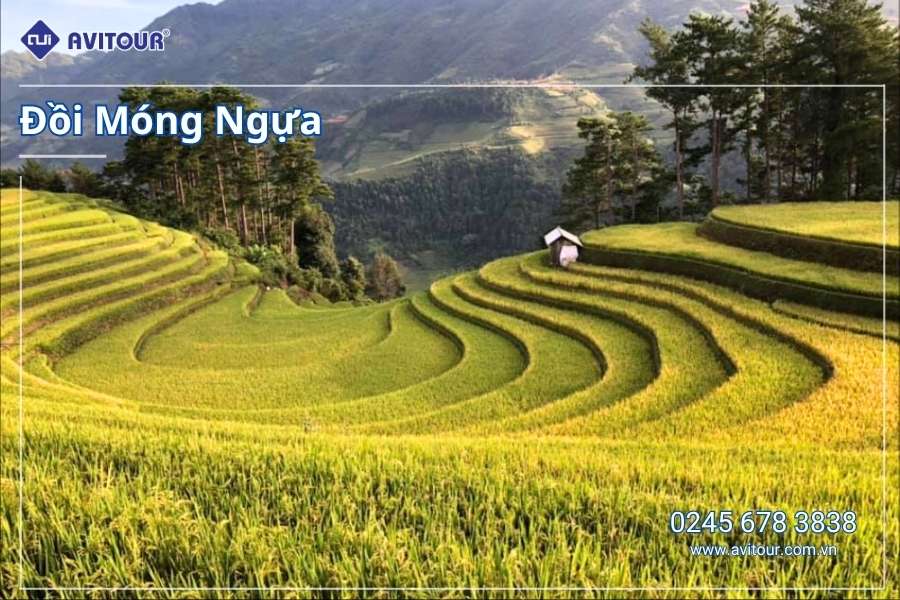 Du lịch Việt Nam 2/9: Tour Mù Cang Chải - Ngọc Chiến khởi hành từ Hà Nội 2025
