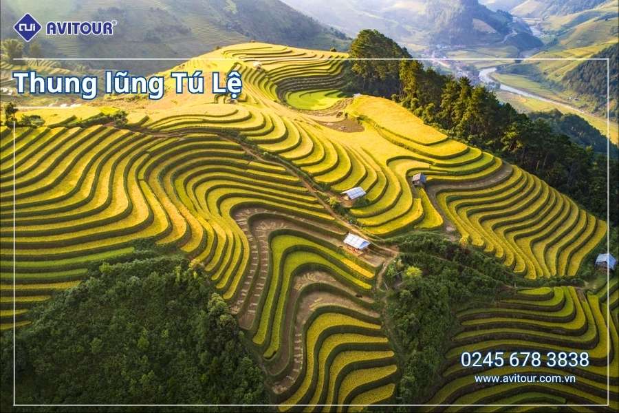 Du lịch Việt Nam: Tour Mù Cang Chải - Ngọc Chiến khởi hành từ Hà Nội 2025