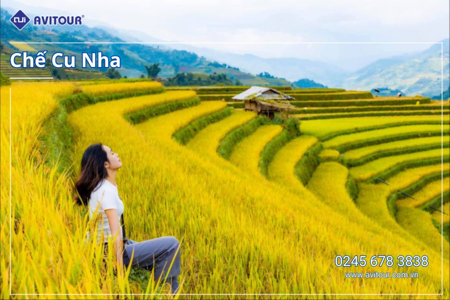 Du lịch Việt Nam: Tour Nghĩa Lộ - Tú Lệ Mù Cang Chải - Trạm Tấu từ Hà Nôi 2025