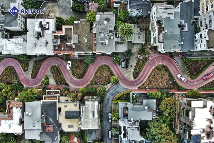 Đường Hoa Lombard - Khám phá con đường quyến rũ nhất San Francisco