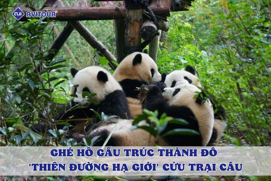 Du lịch Trung Quốc Thành Đô