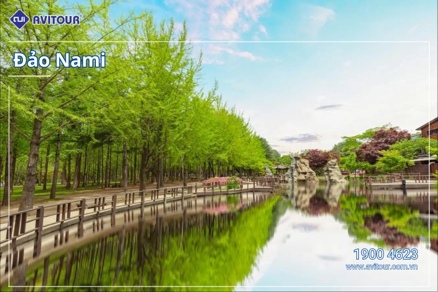 Ghé thăm “xứ sở Kim chi” Hàn Quốc: Đảo Nami