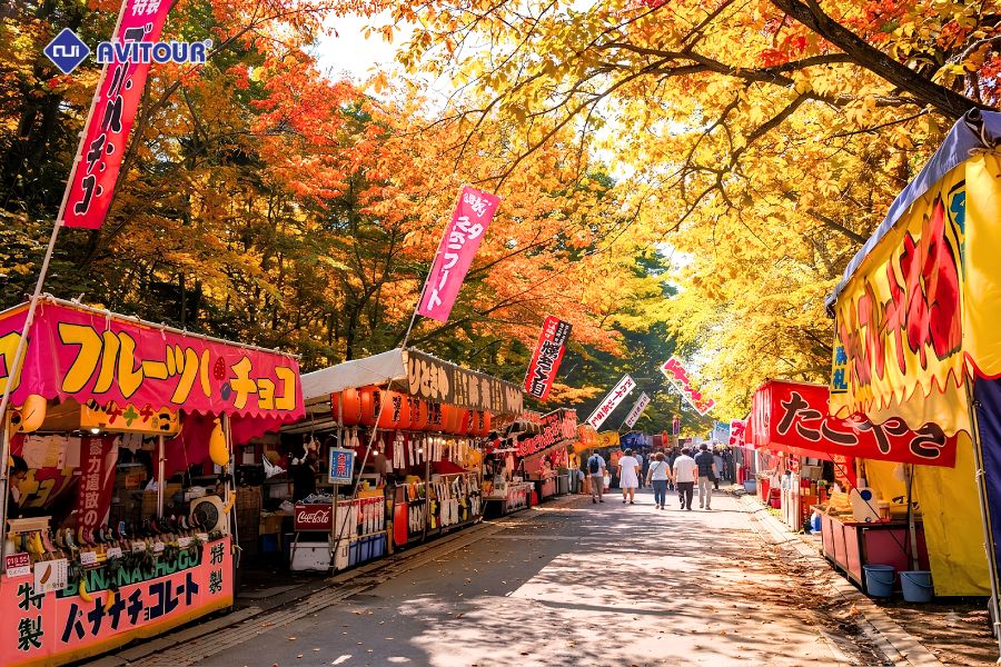 Hàng cây lá vàng Icho Namiki: Tuyến phố mùa thu đẹp tựa tranh tại Tokyo