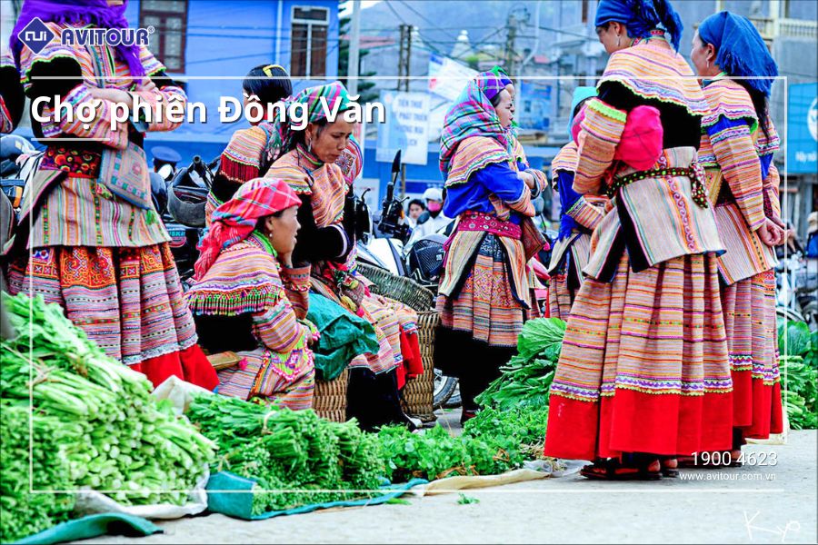 HÀNH TRÌNH KHÁM PHÁ HÀ GIANG –YÊN MINH – LŨNG CÚ – ĐỒNG VĂN – HÀ NỘI