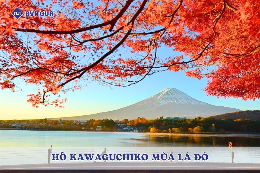 Hồ Kawaguchiko mùa lá đỏ: Mãn nhãn sắc thu dưới chân núi Phú Sĩ