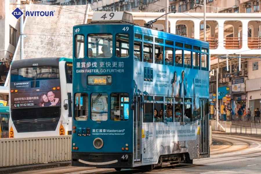Hồng Kông: Bản giao hưởng ánh sáng và nhịp sống đô thị thượng lưu