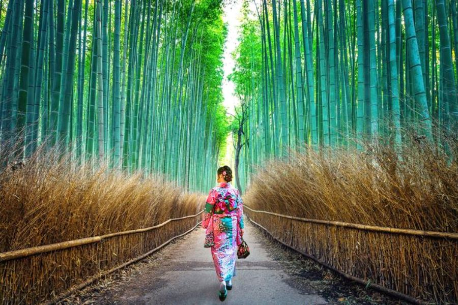 Khám phá 5 khu phố ở Kyoto Nhật Bản tuyệt đẹp
