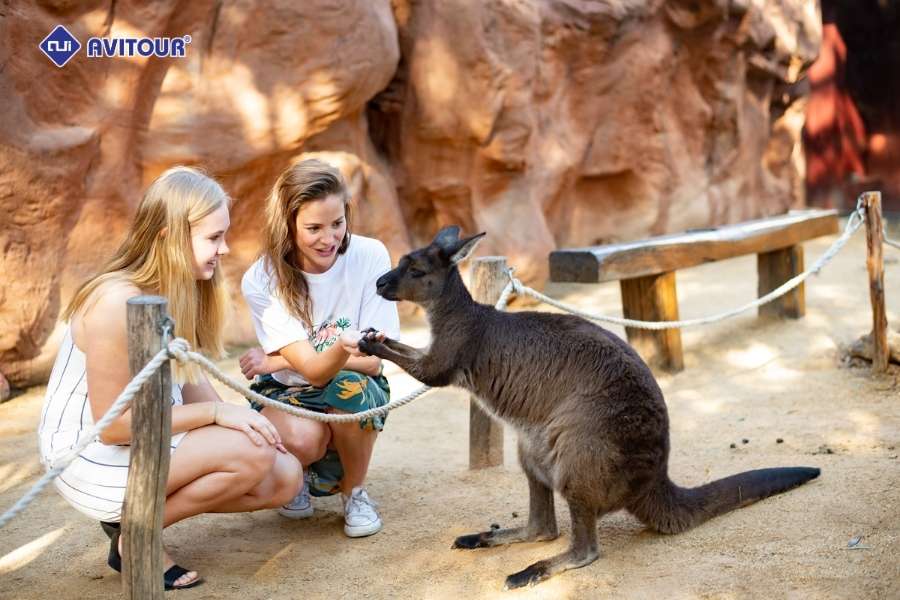 Khám phá cảng Darling Harbour: Trái tim sôi động giữa lòng Sydney