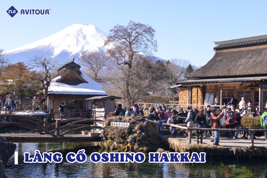 Khám phá làng cổ Oshino Hakkai - Vùng đất yên bình chân núi Phú Sĩ