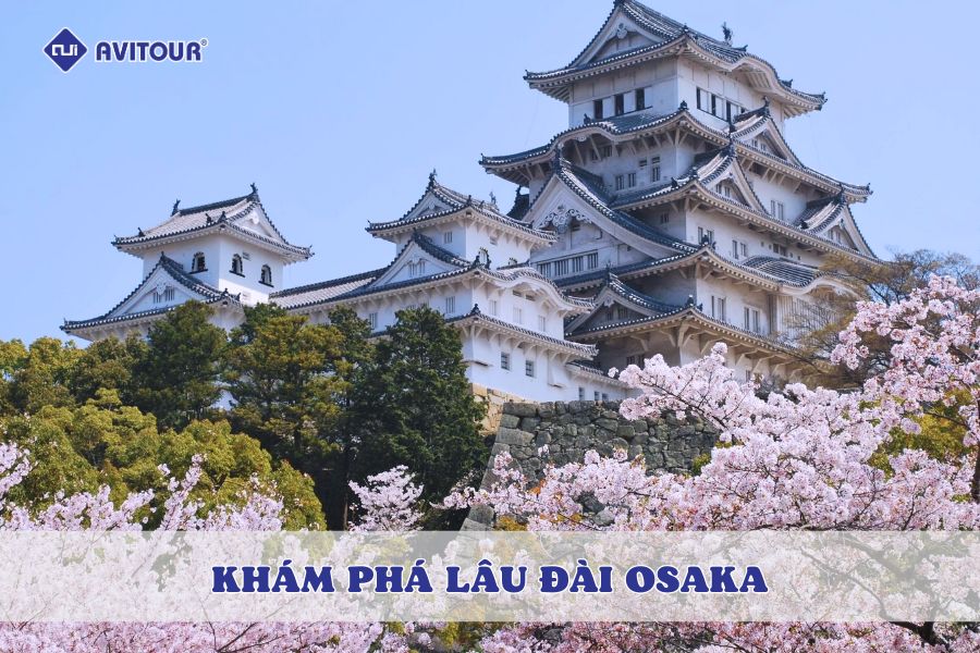 Khám phá lâu đài Osaka: Biểu tượng lịch sử và vẻ đẹp bốn mùa của Nhật Bản