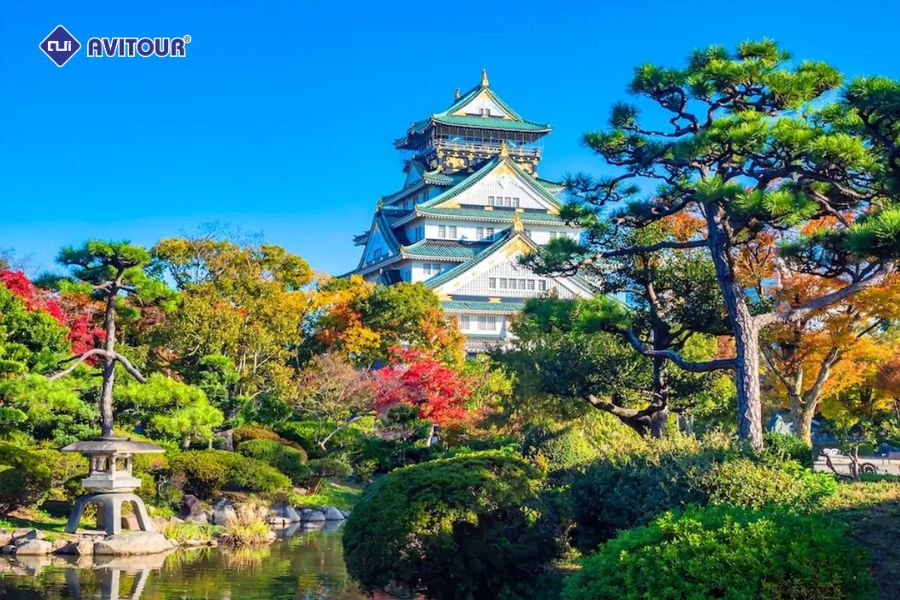Khám phá lâu đài Osaka: Biểu tượng lịch sử và vẻ đẹp bốn mùa của Nhật Bản