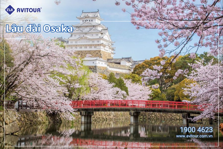 Khám phá Nhật Bản mùa hoa anh đào: Hà Nội  - Osaka - Nagoya - Nara - Kyoto