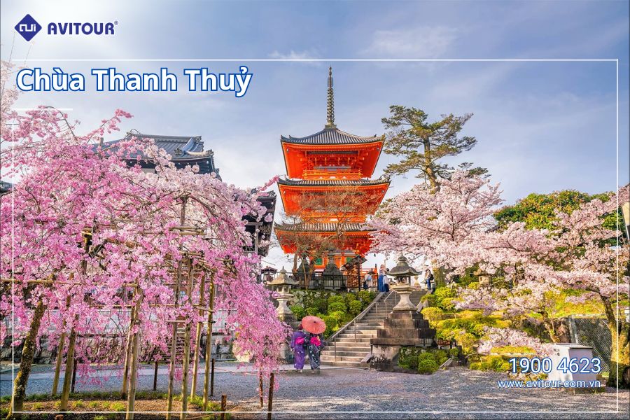 Khám phá Nhật Bản mùa hoa anh đào: Hà Nội  - Osaka - Nagoya - Nara - Kyoto