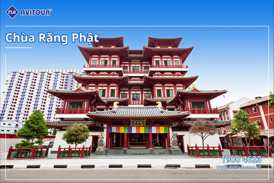 Khám phá Quốc đảo sư tử Singapore | HÀ NỘI – SINGAPORE – GARDEN BY THE BAY – TẮM BIỂN TRÊN ĐẢO SENTOSA - JEWEL – HÀ NỘI