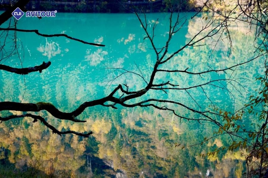 Khu thắng cảnh Cửu Trại Câu: Điểm đến không thể bỏ qua cho những tâm hồn yêu thiên nhiên