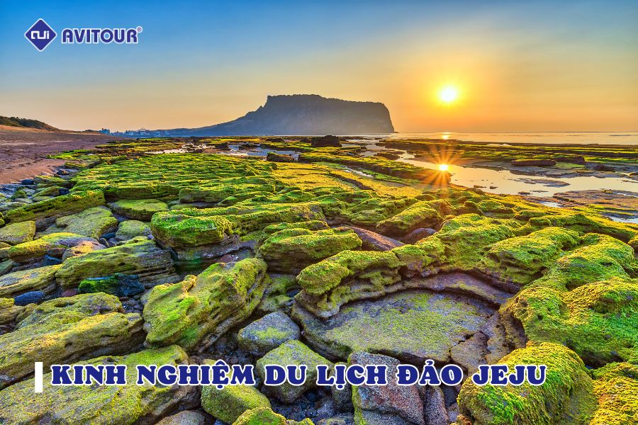 Kinh nghiệm du lịch đảo Jeju chi tiết nhất