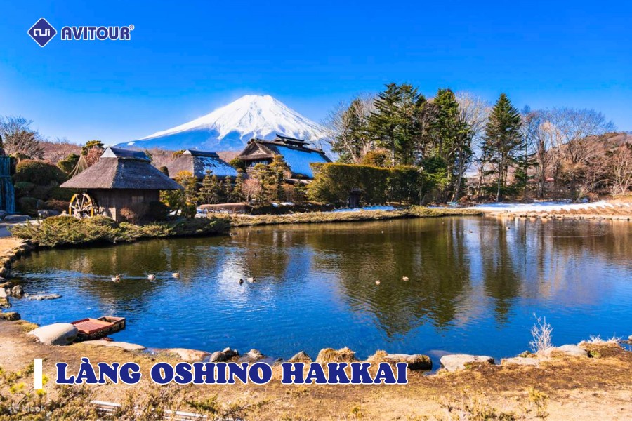 Làng Oshino Hakkai: Văn Hoá Cổ Dưới Chân Núi Phú Sĩ